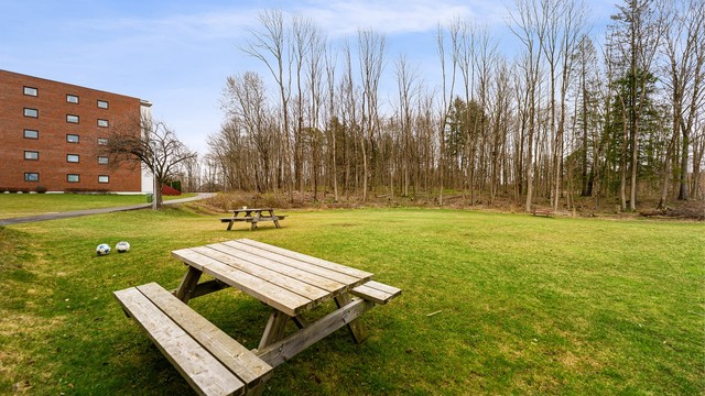 Fellesområdene er opparbeidet med plenarealer, sittebenker og beplantning.