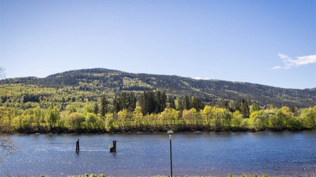 Leiligheten ligger i et attraktivt og rolig område på Åssiden, i første rekke langs Drammenselva.
Foto: Stine Prøitz Jørgensen.