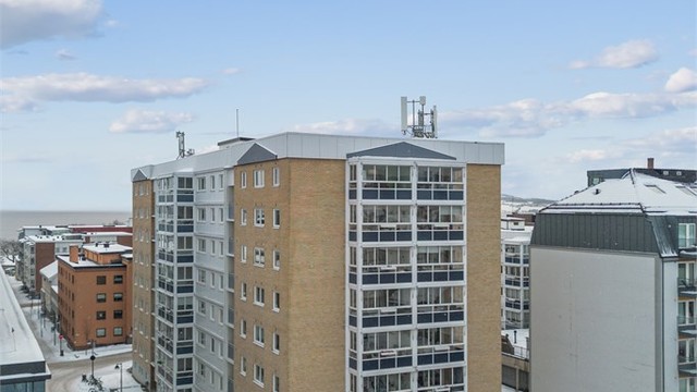 Mjøsa med gode bademuligheter og turmuligheter, samt skatepark, volleyballbane, basketballbane og stupetårn ligger ca 300 meter unna.