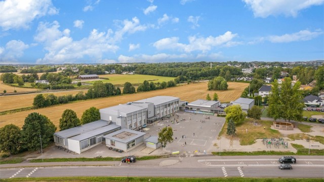 Virik barneskole