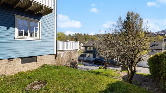 Hagen er opparbeidet med plen og beplantning.