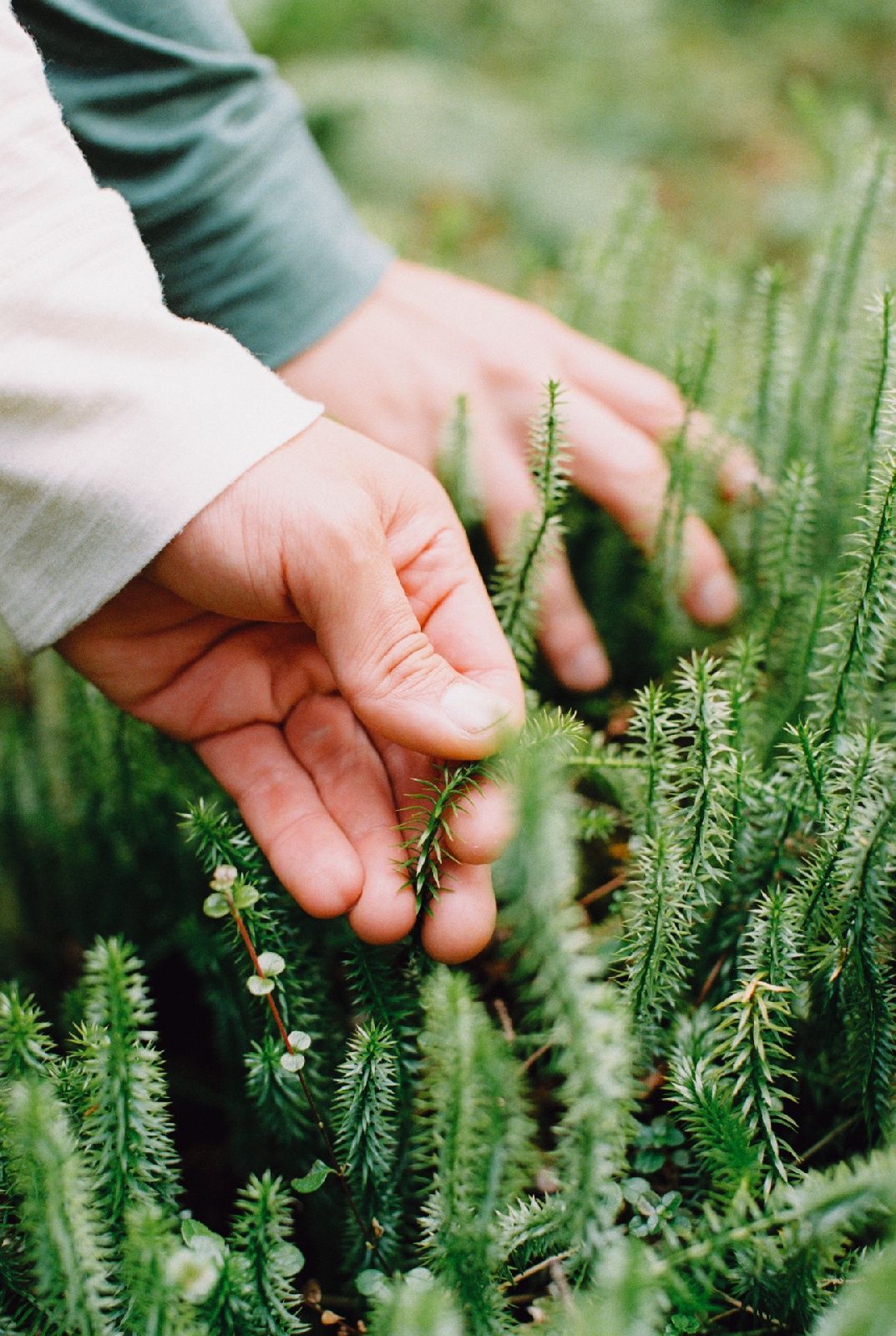 People that are touching plants