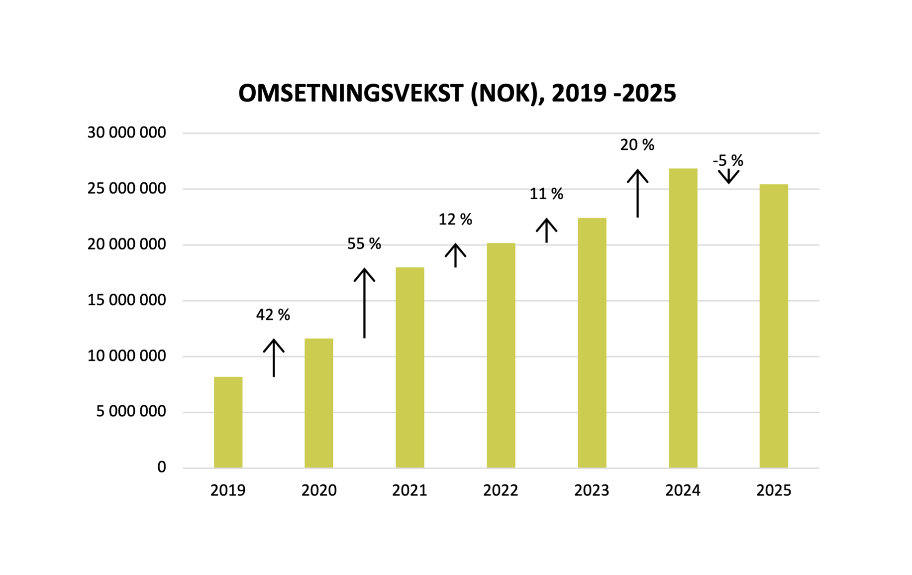 Northern Playground Omsetningsvekst graf