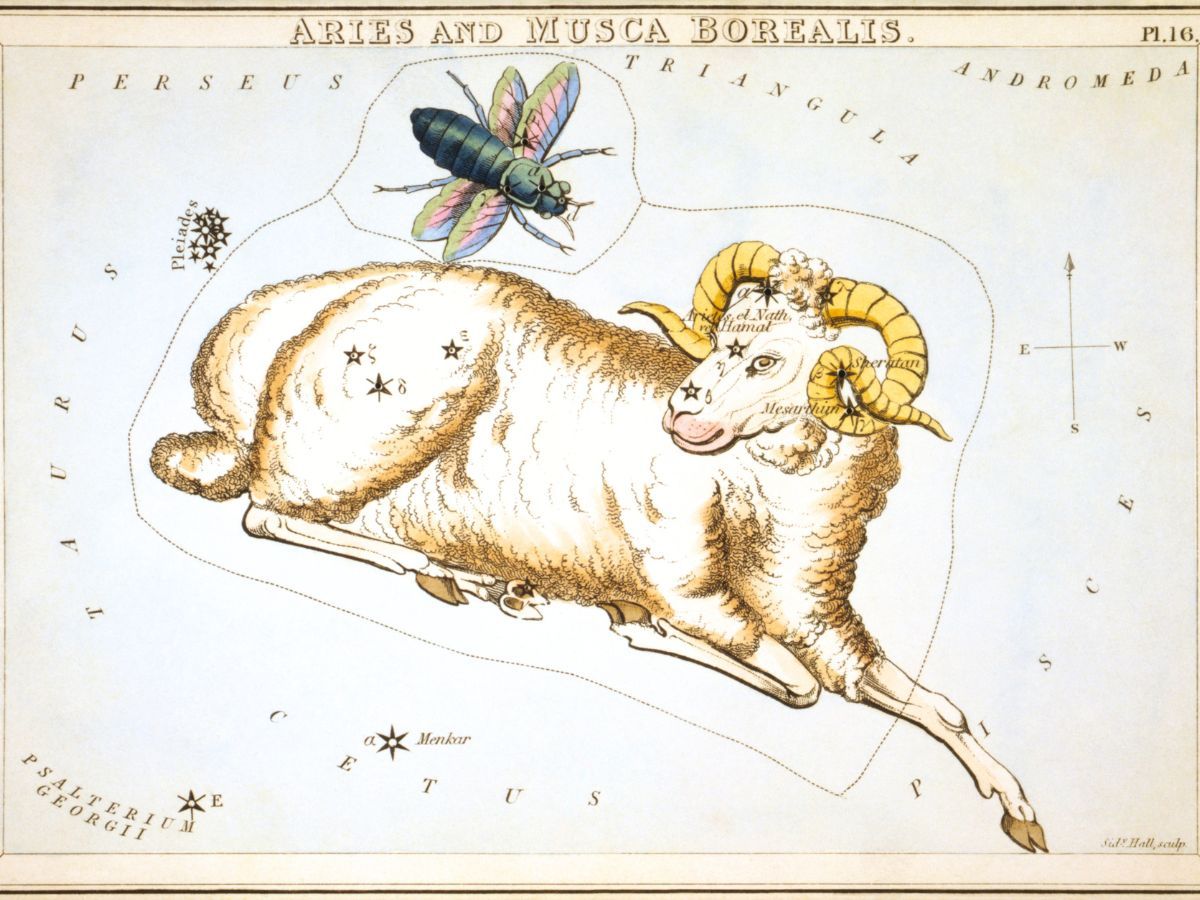 Aries and Musca Borealis Constellations depicted in Urania's Mirror