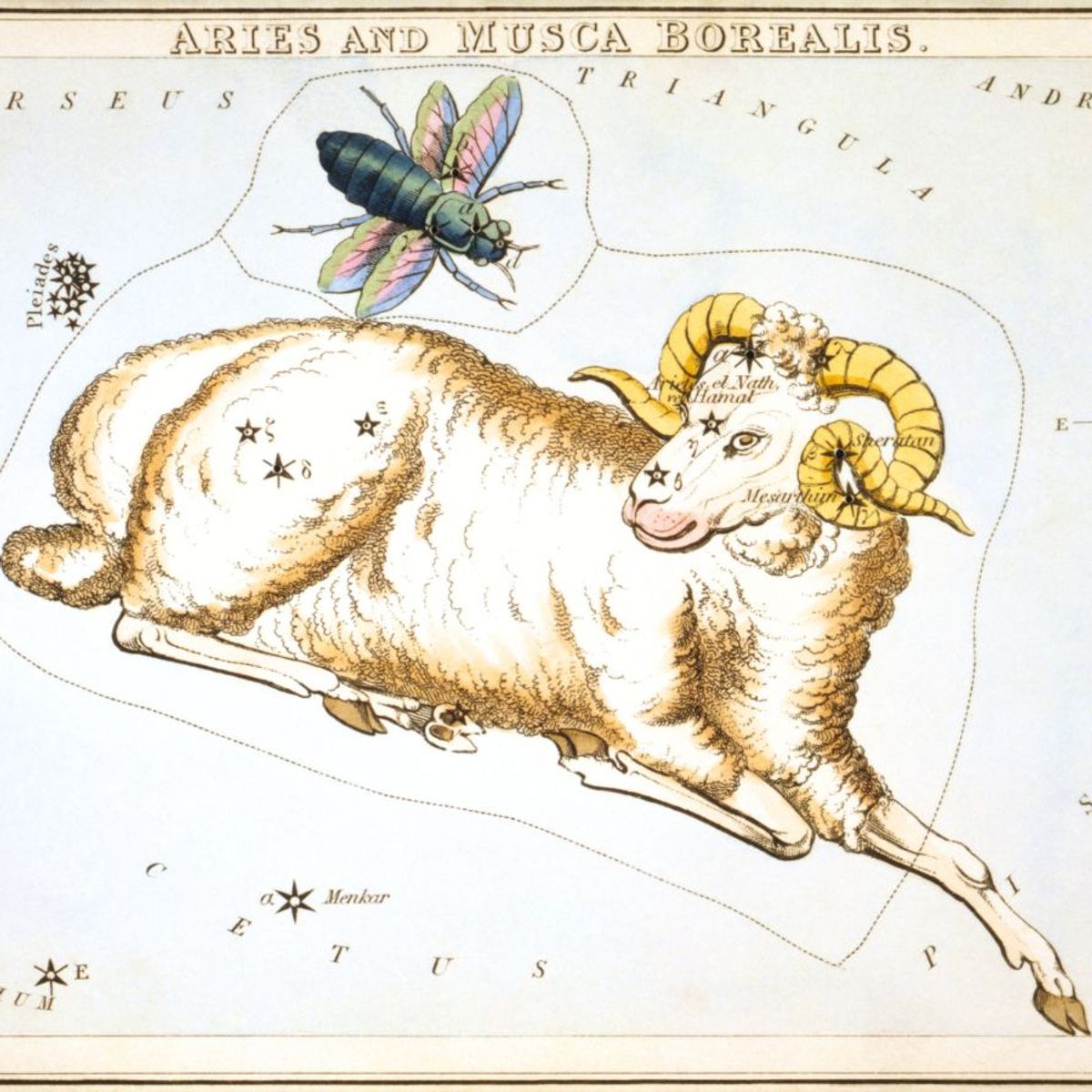 Aries and Musca Borealis Constellations depicted in Urania's Mirror