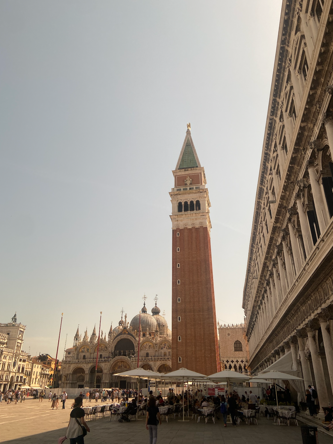 A Brief History of Larch Turpentine: The Gold of Venice