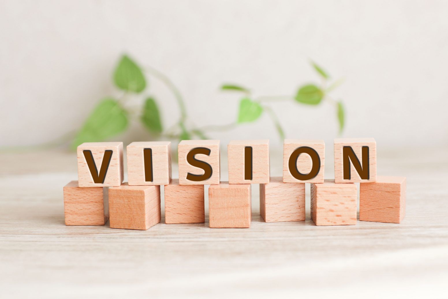 ビジョンに秘められた想いとは