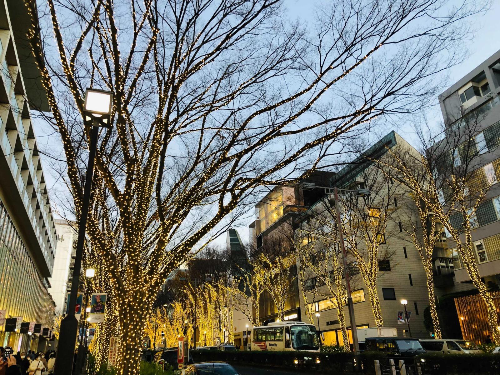 オフィス周辺の表参道クリスマス2022