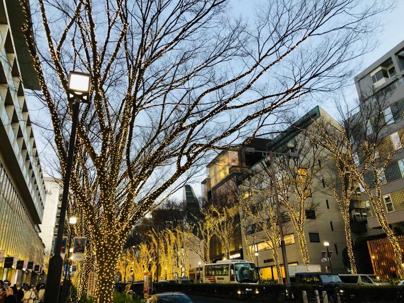 オフィス周辺の表参道クリスマス2022
