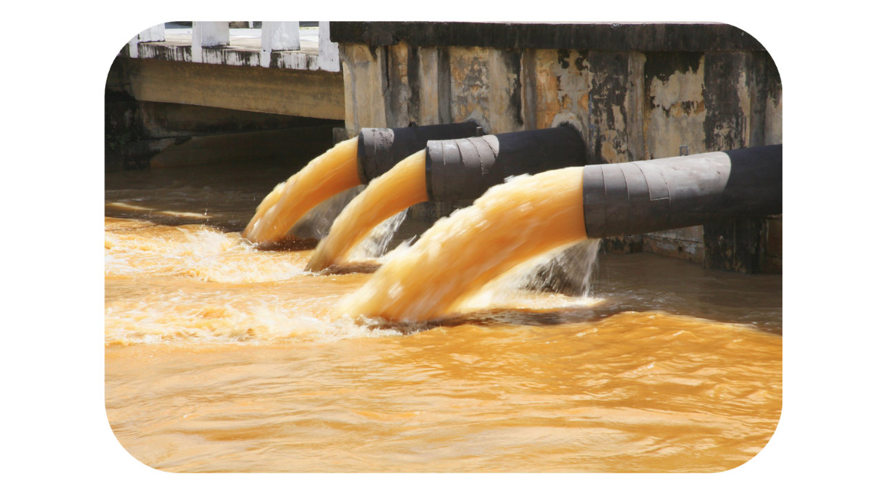 Proper Waste management of the by products