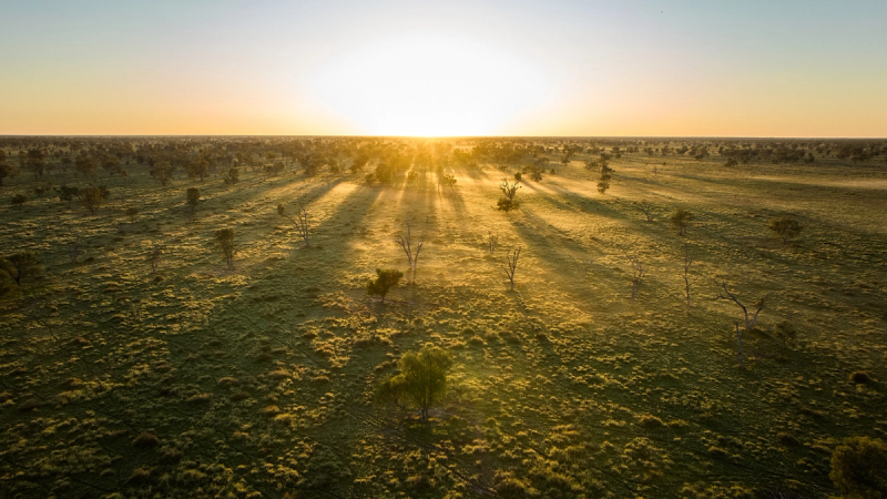 Fletchers Lightning Ridge