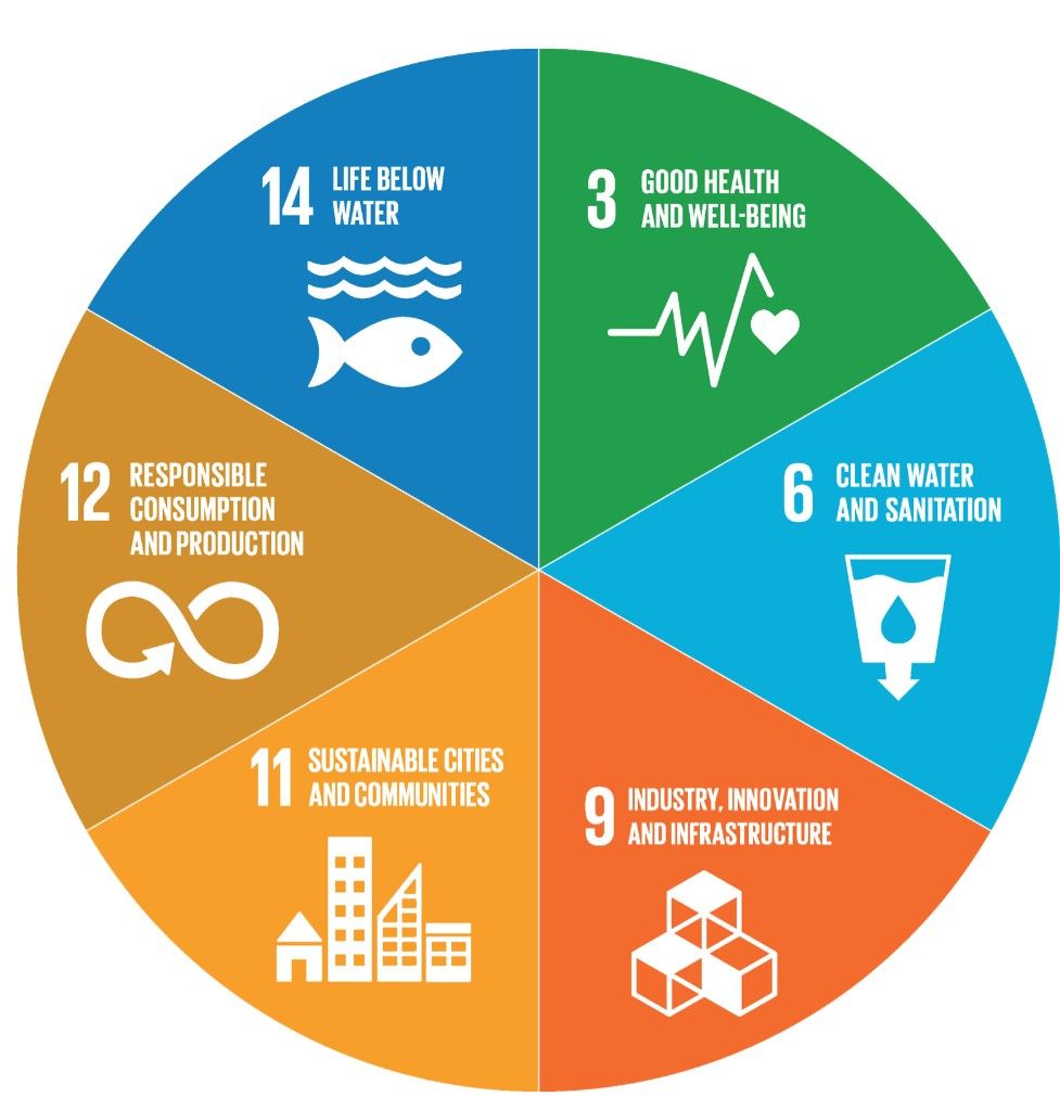 Circular graphic with six UN SDG icons.