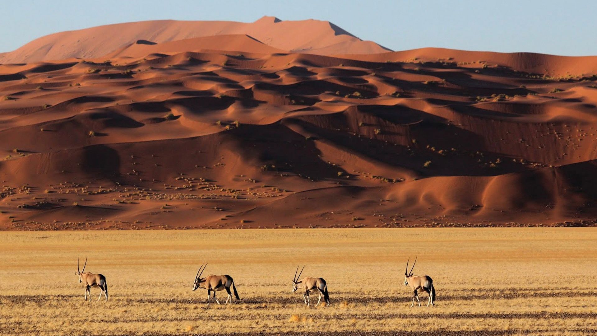African Trilogy 15