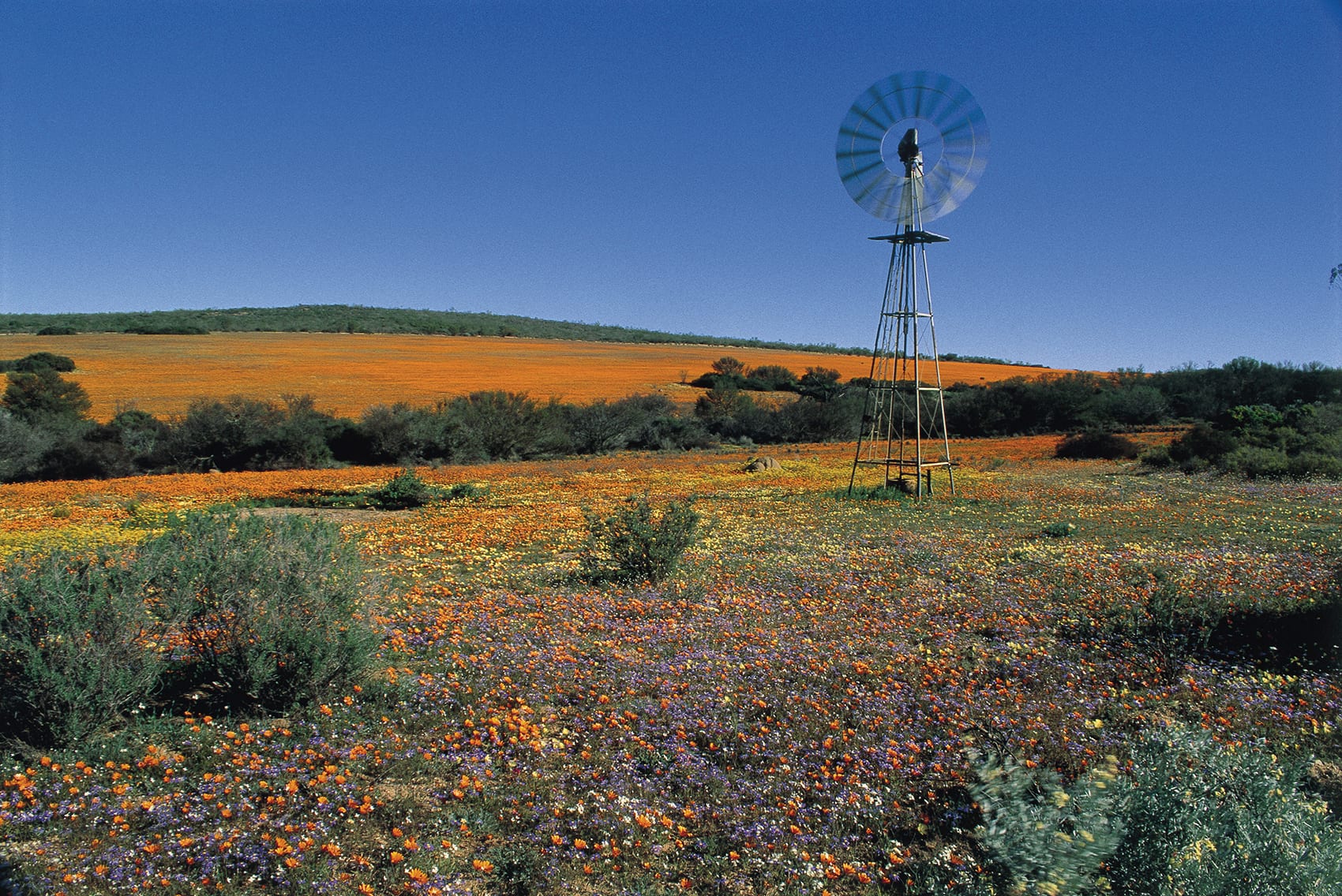 Cape Town to Pretoria 7