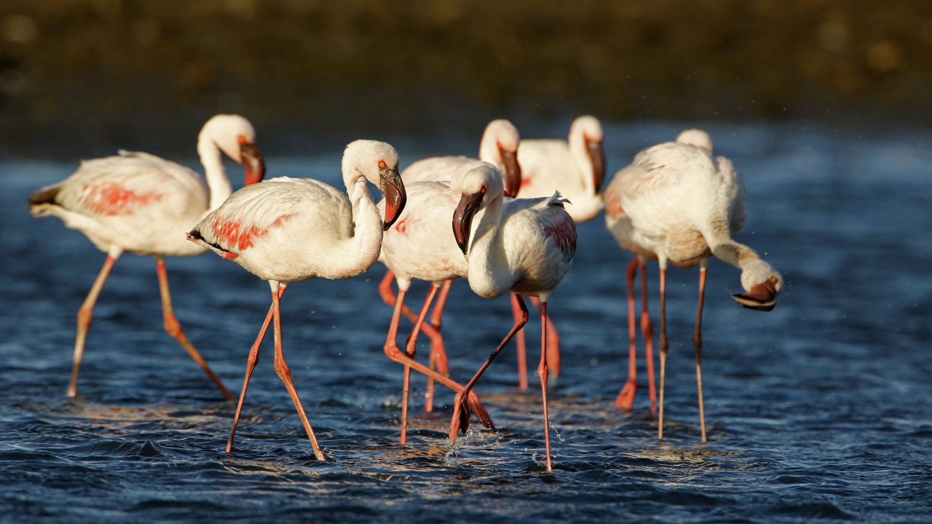 Namibia Safari - Cape Town to Walvis Bay 8