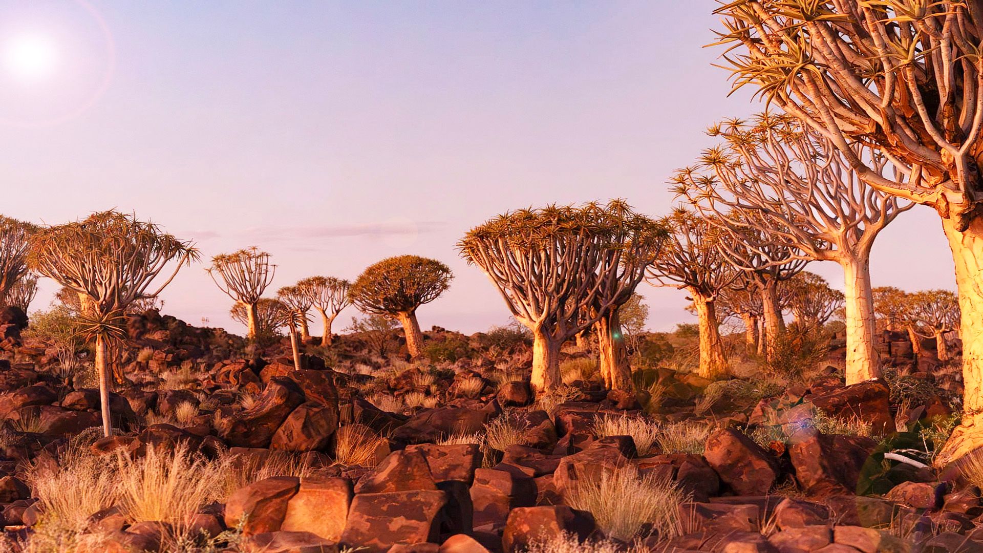 African Trilogy 10