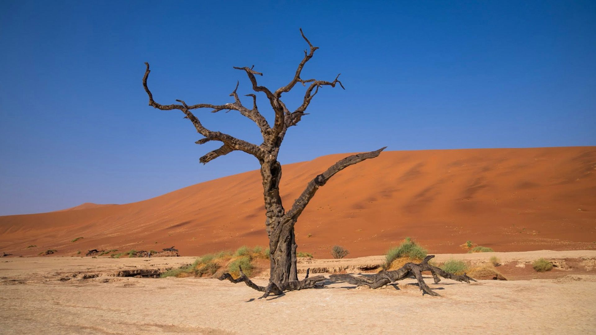 African Trilogy 13