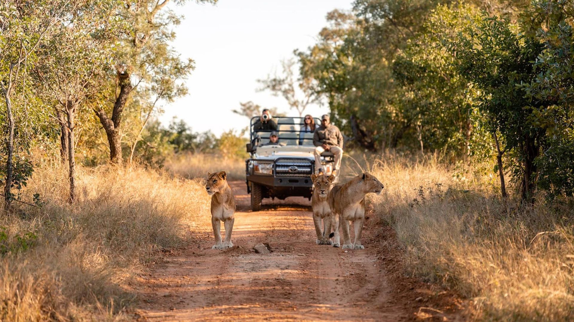 African Trilogy 3