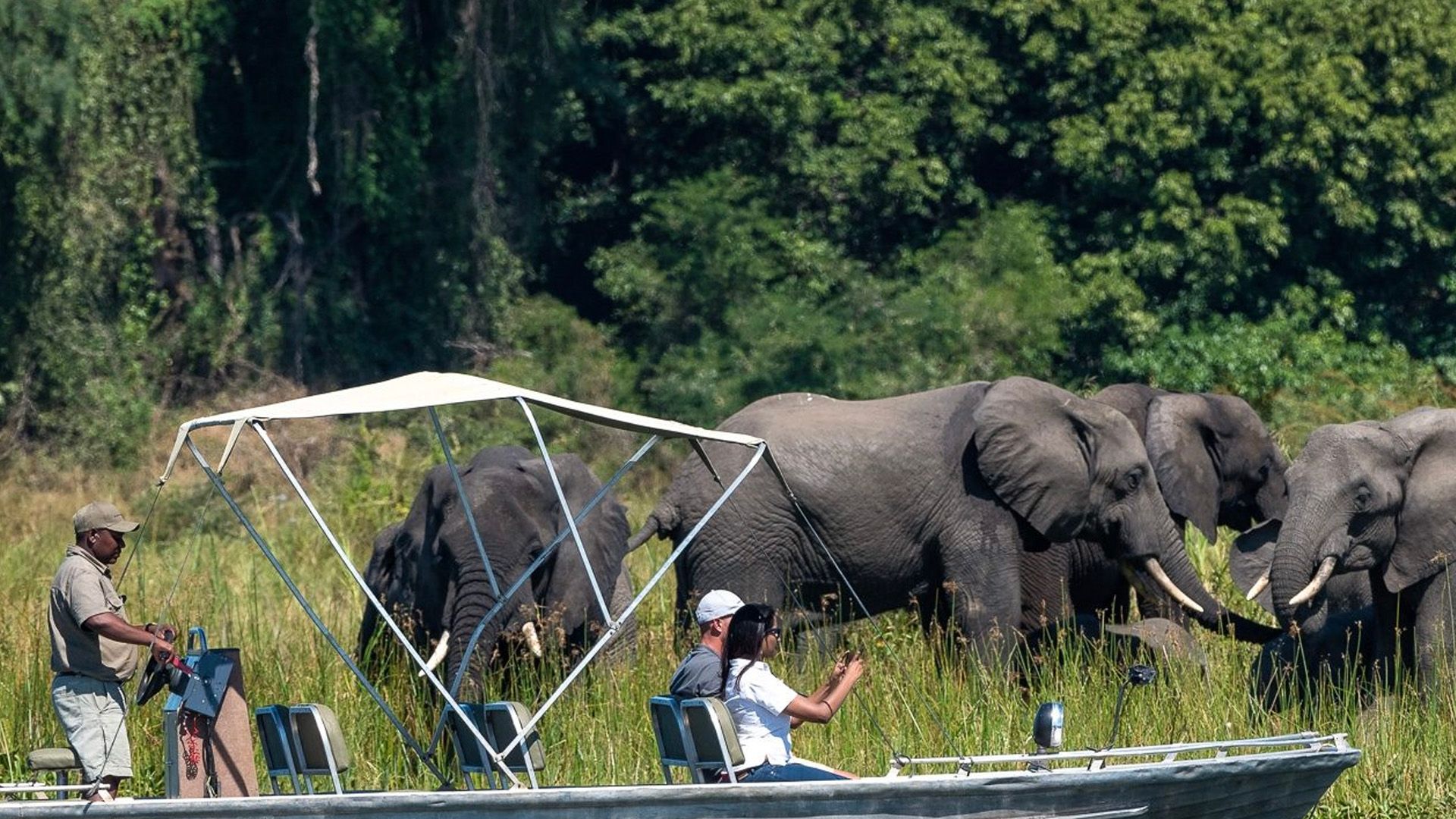 Malawi Meander (LLW-PTA) 5