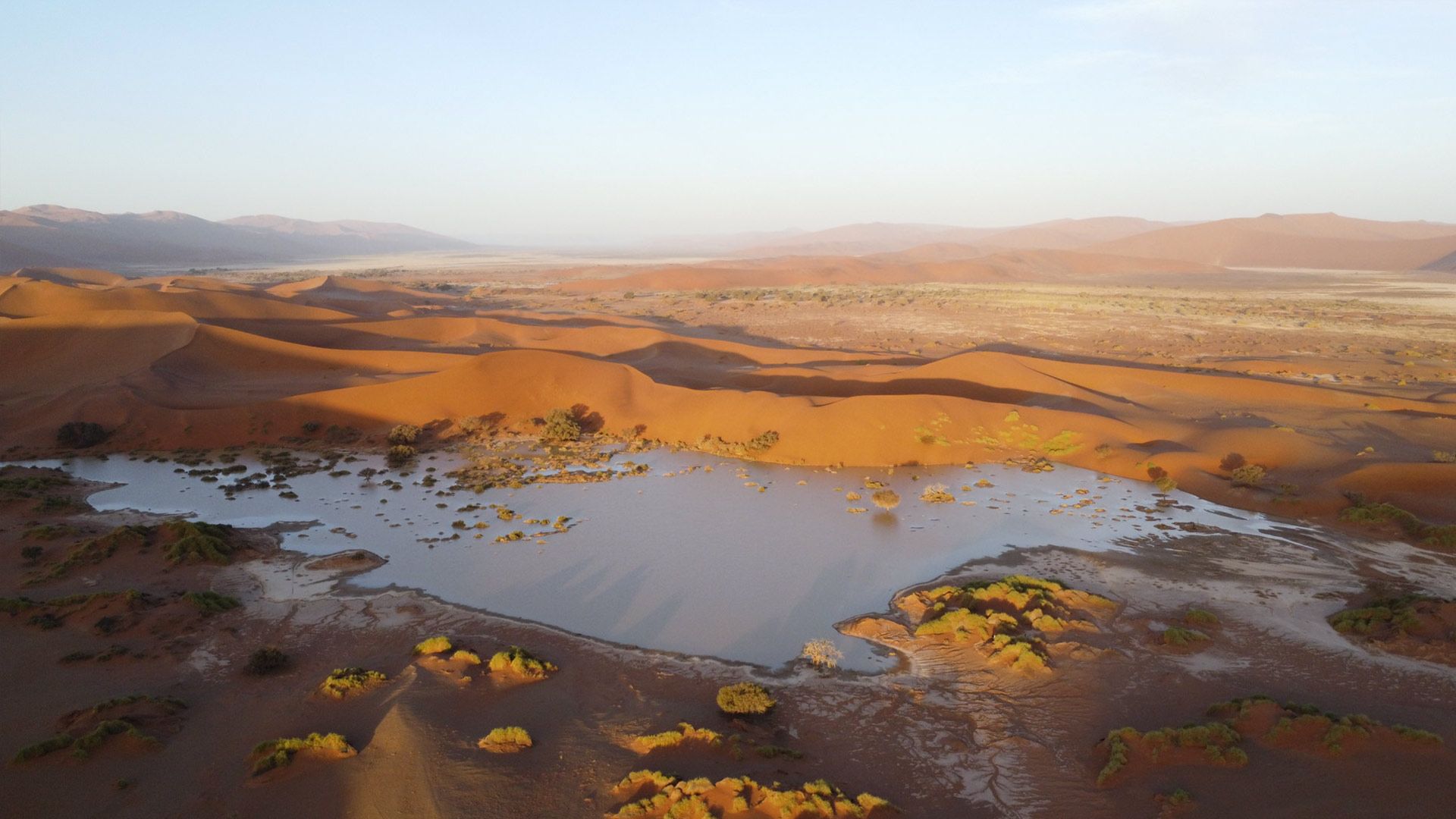Namibia Safari - Cape Town to Walvis Bay 4
