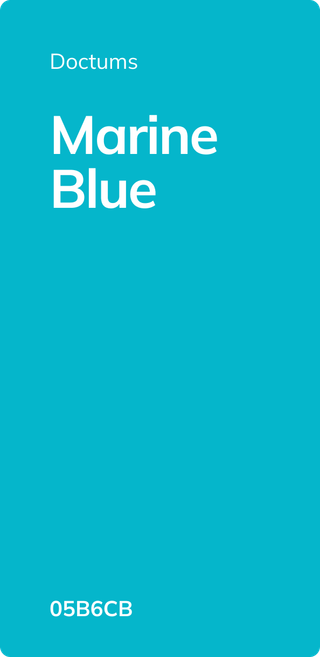 Doctums-marine-blue-color-palette