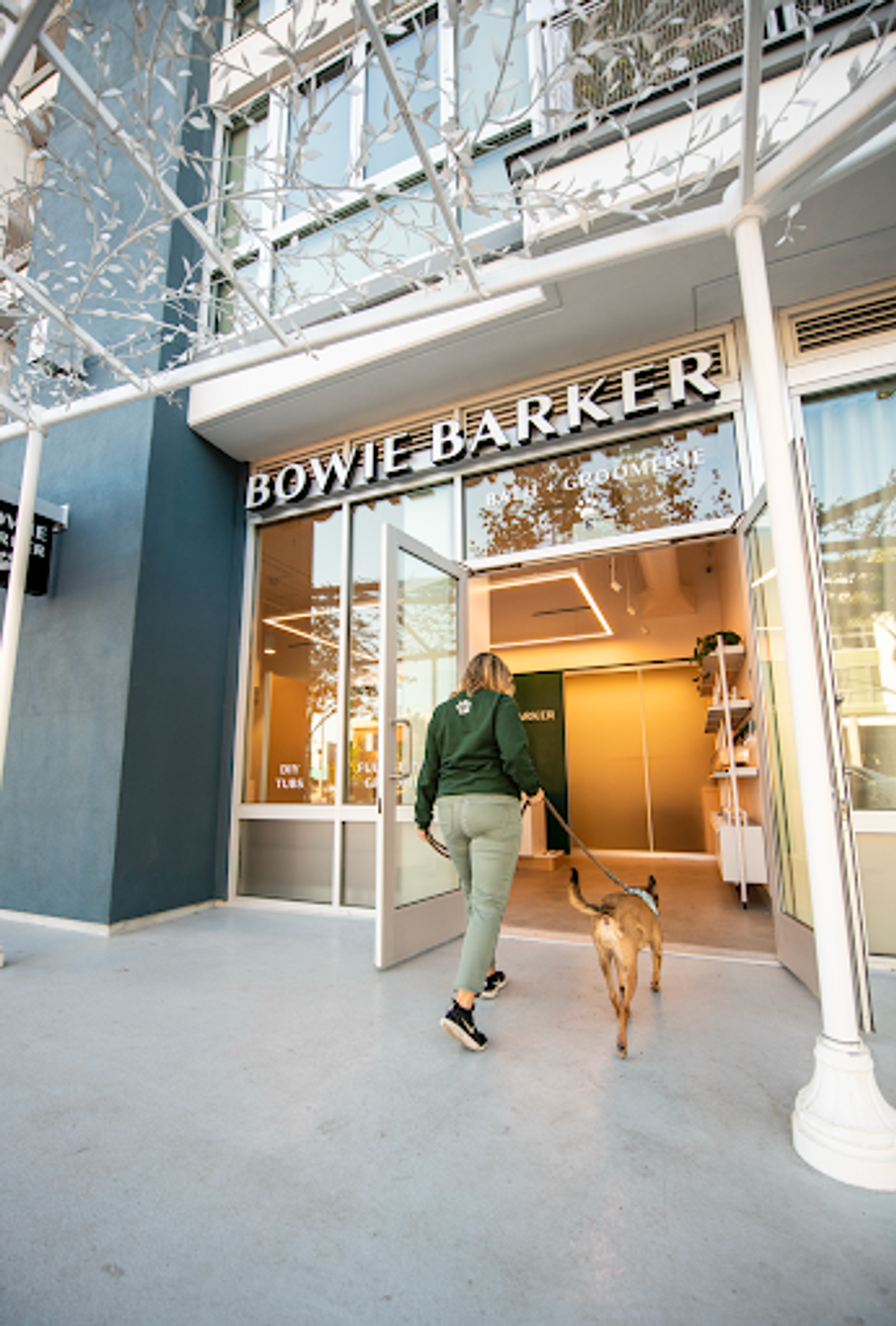Image of a bowie barker employee walking a dog into an appointment