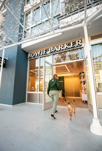 Image of a bowie barker employee walking a dog into an appointment