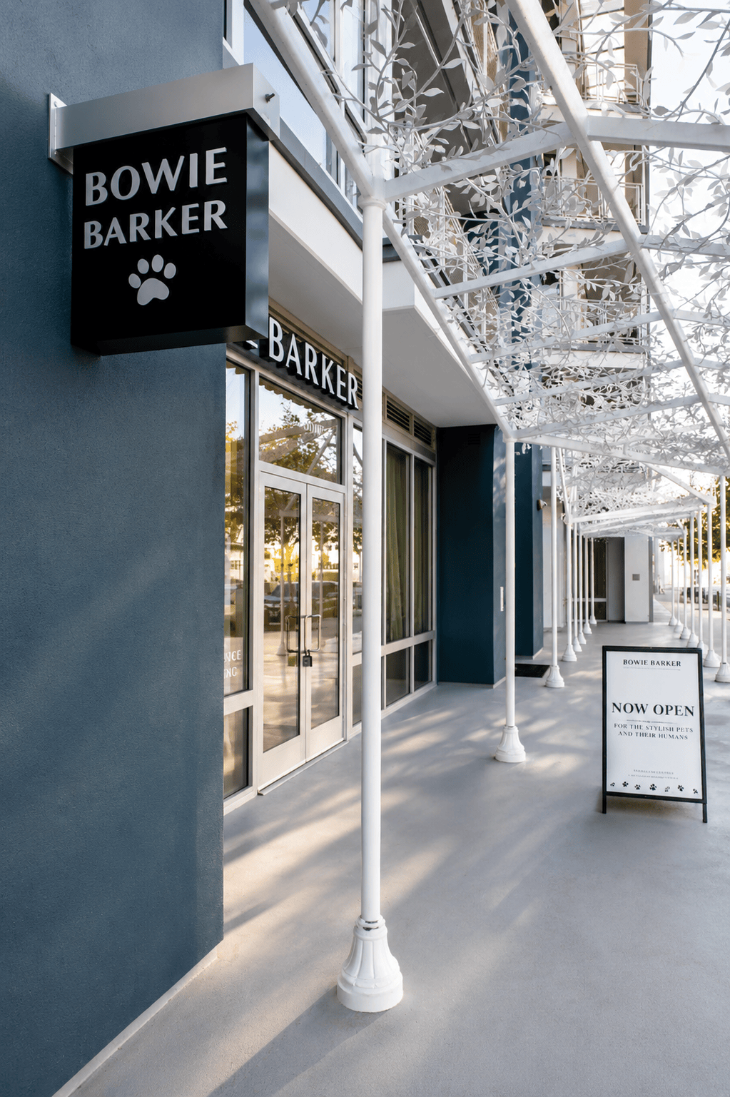 Outside the culver city bowie barker on a nice sunny day