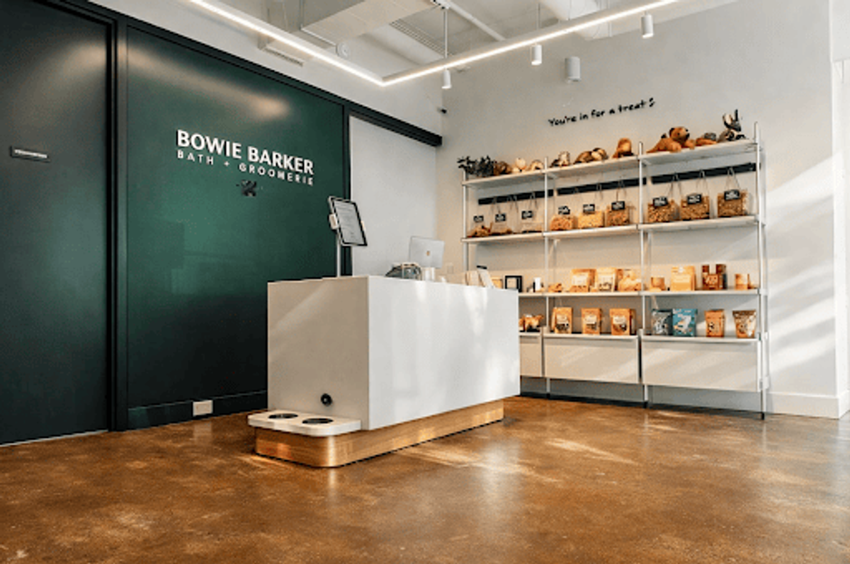 Inside the bowie barker groomer in south loop chicago 