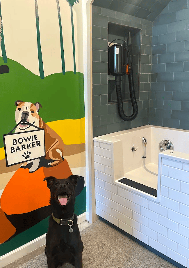 Bowie Barker West Hollywood: Dog Grooming and Self-Serve Wash on Beverly Blvd
