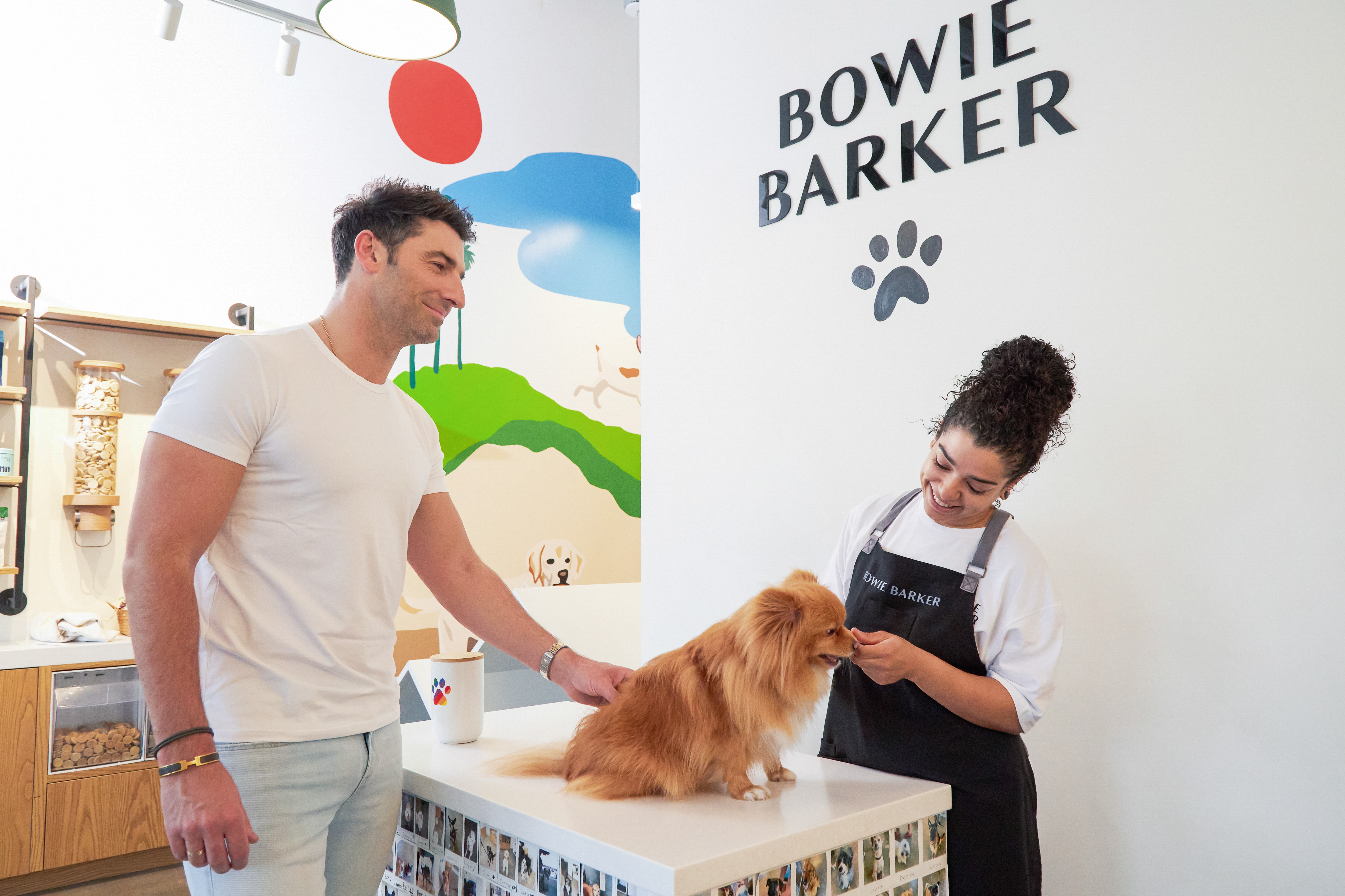 Ask a Groomer: Answering Your Top Dog Grooming Questions