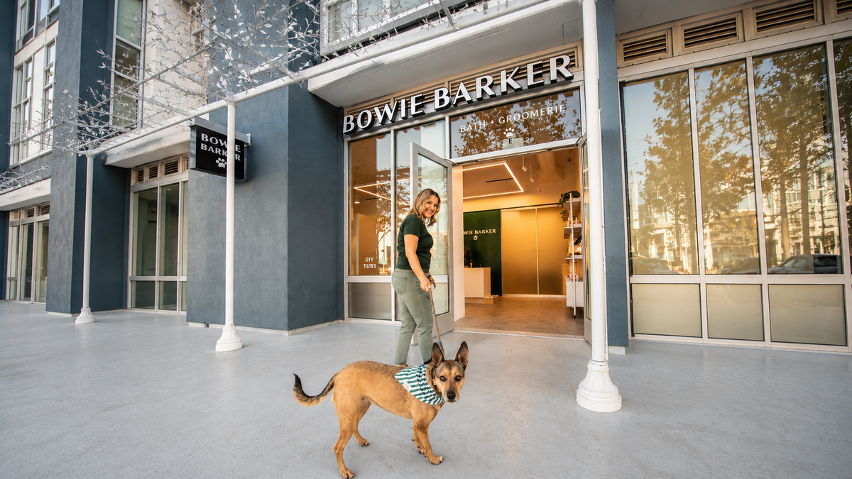 Owner takes their dog into a bowie barker groomer in the summer time