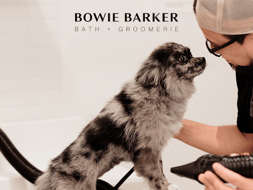 What a Dog Grooming Franchise Actually Costs