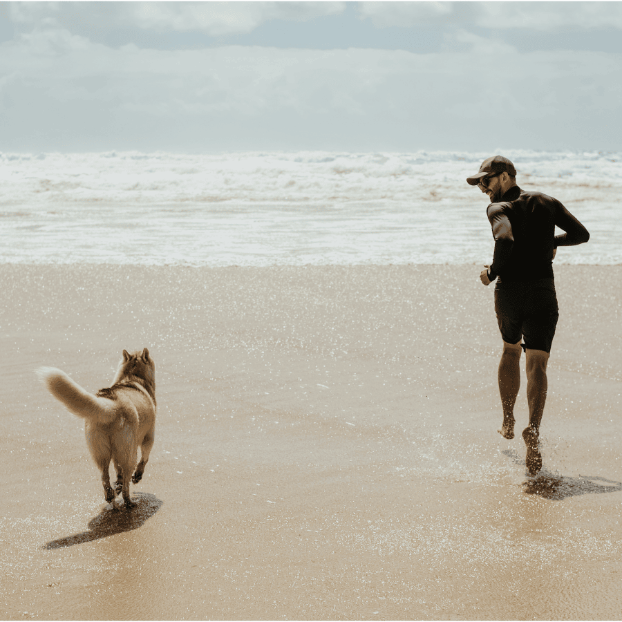 Man running on beach with his husky in the sun