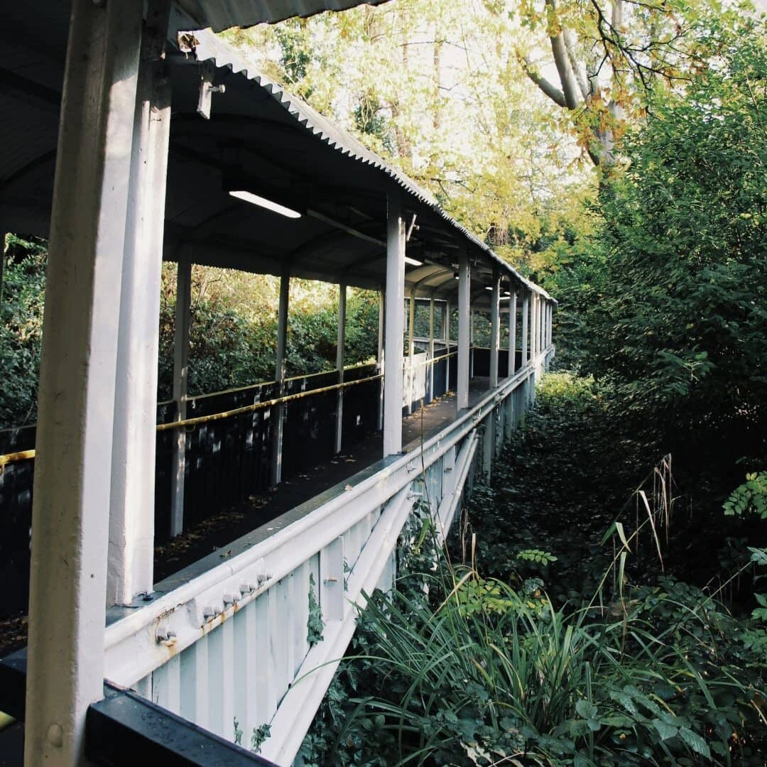 Sydenham Hill