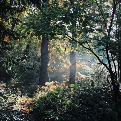 Sydenham Hill
