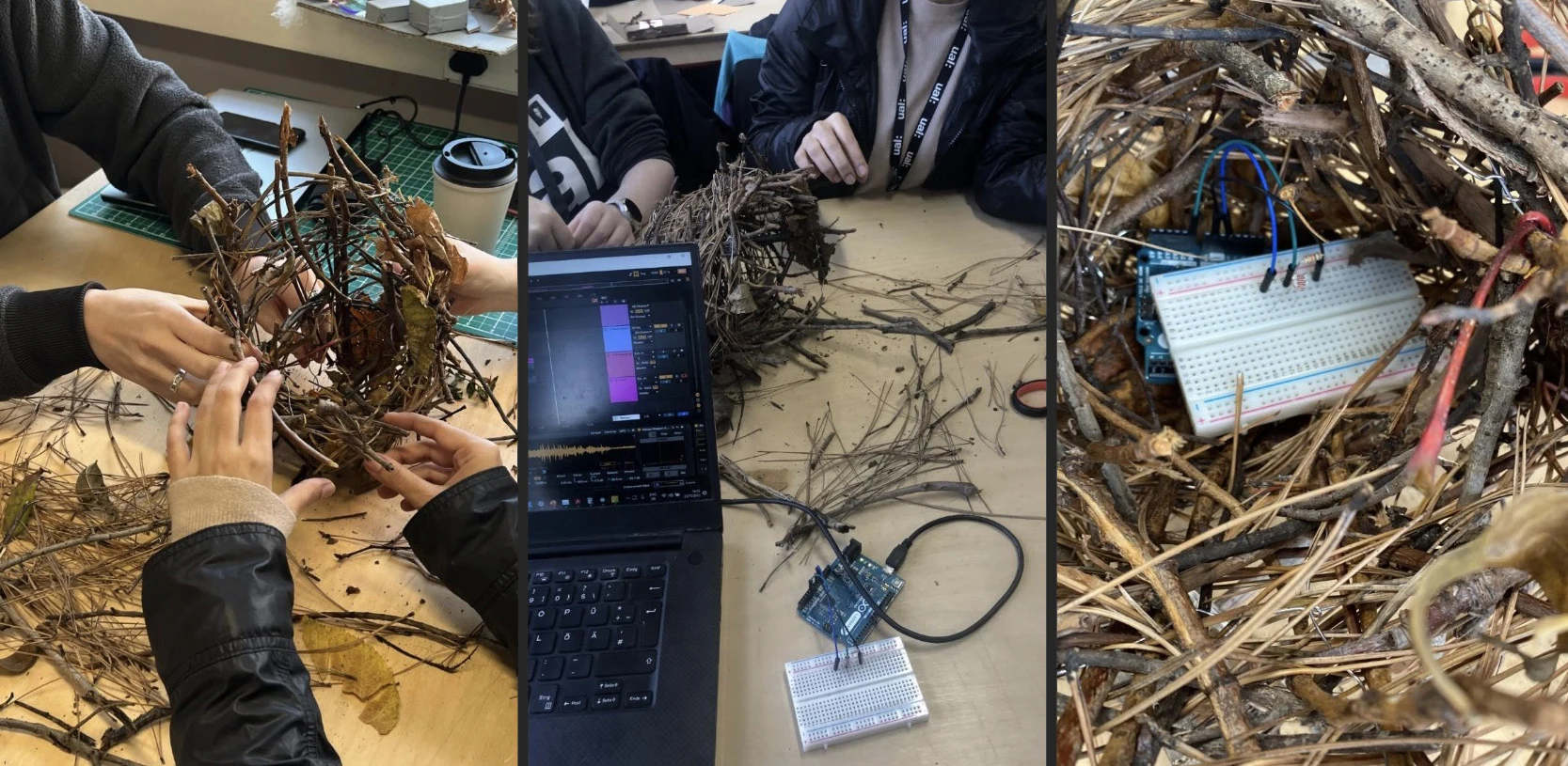 Construction of the nest and installation of the Arduino sensor