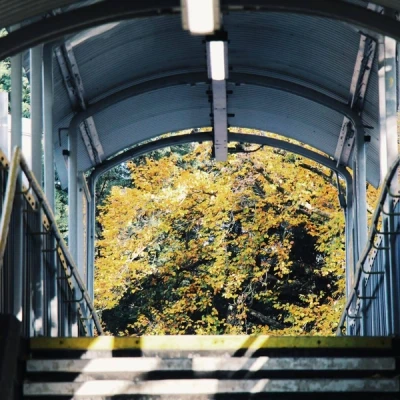Sydenham Hill