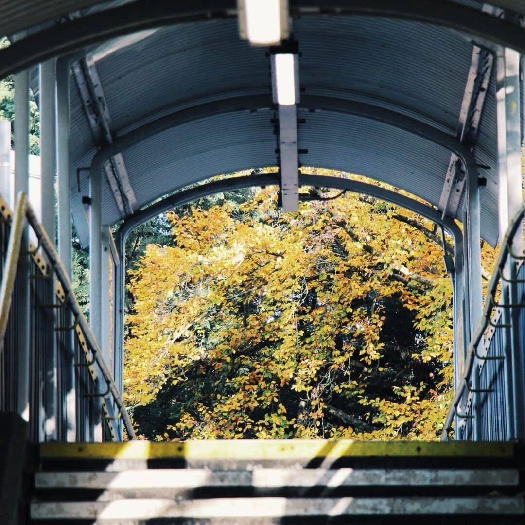 Sydenham Hill