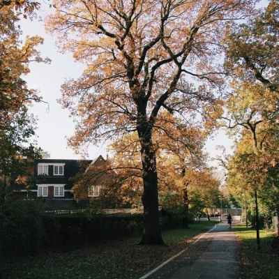 Sydenham Hill