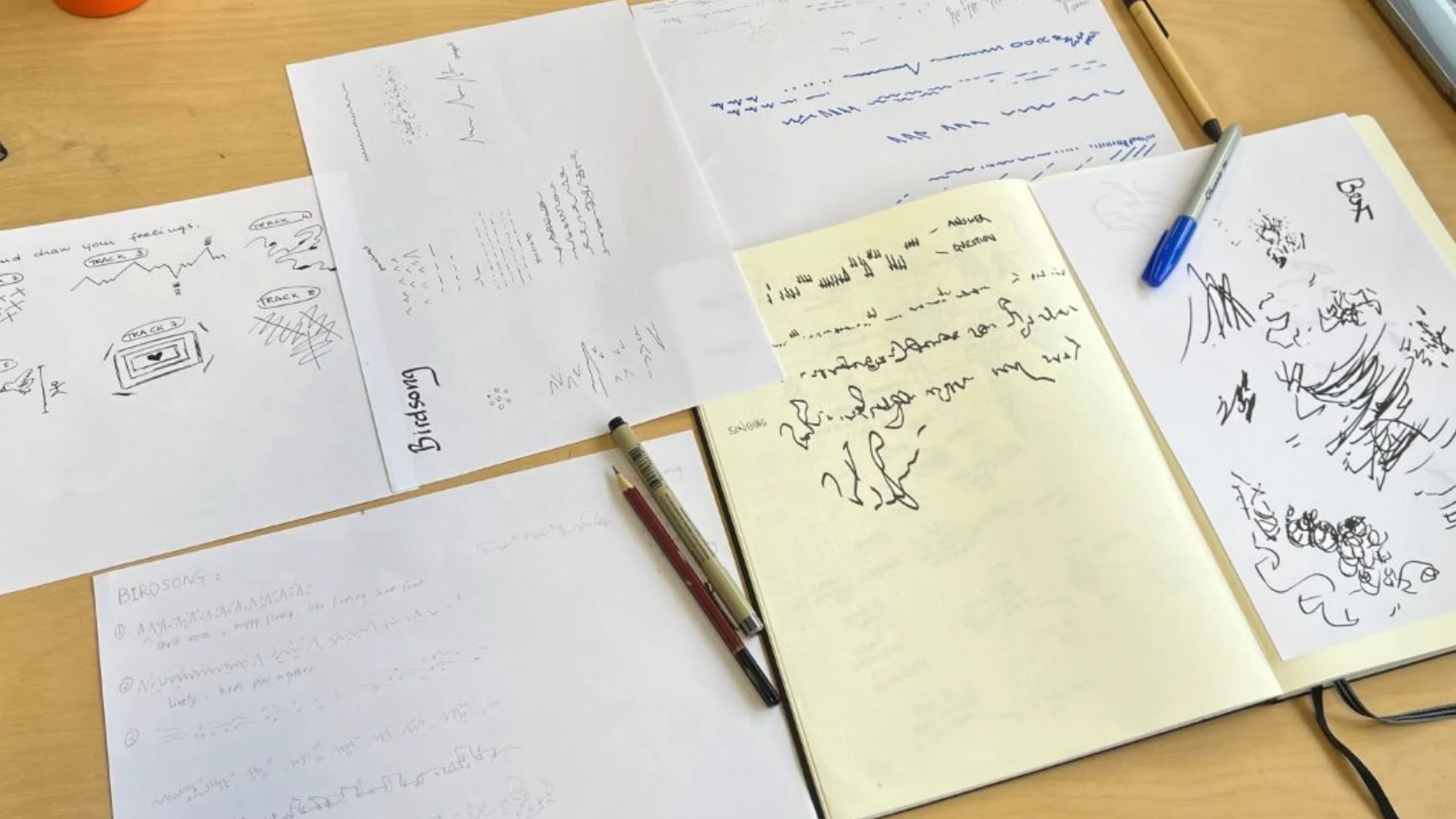 Sound perception drawings for recordings of birdsong