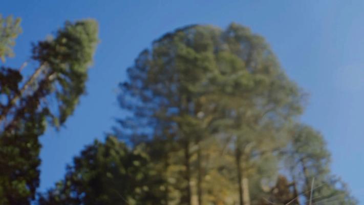 Adidas Terrex - Go Further