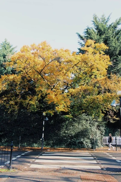 Sydenham Hill