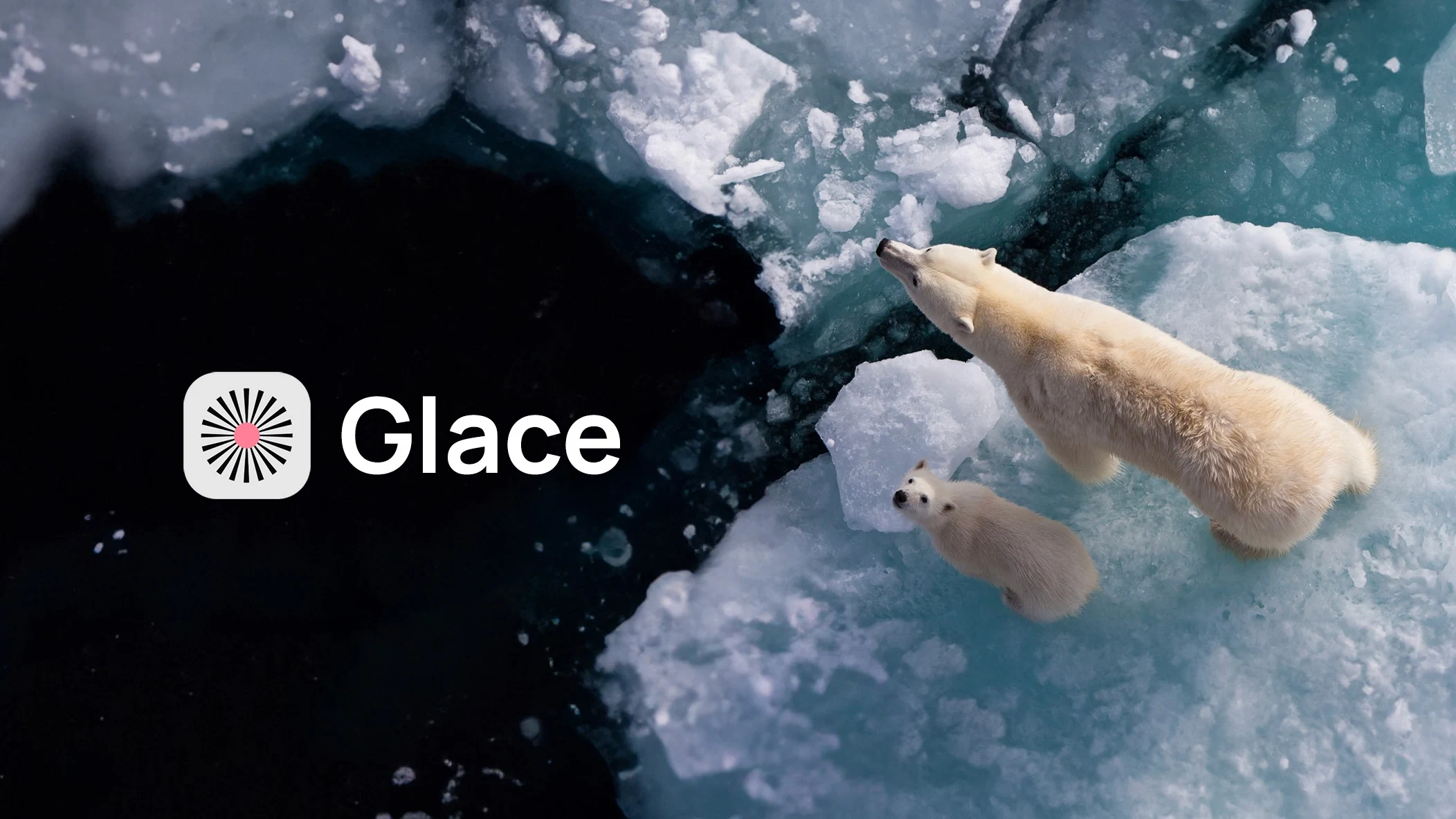 Glace logo and two polar bears looking up from pack ice