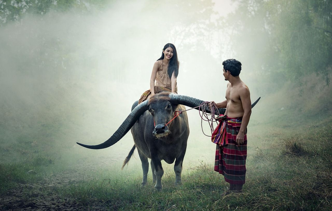angka keluar cambodia hari ini — data statistik togel.to