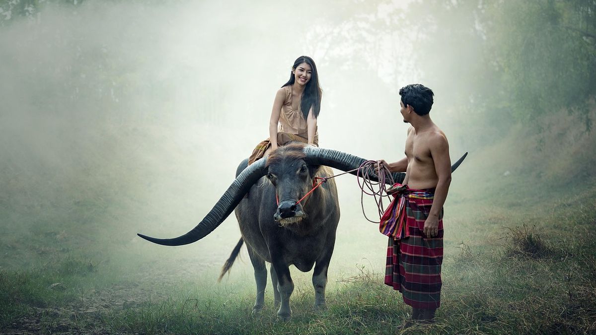 angka keluar cambodia hari ini — data statistik togel.to