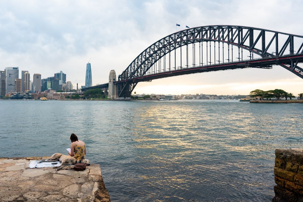 Perbandingan tren SDY antar periode untuk apa itu sydney pools