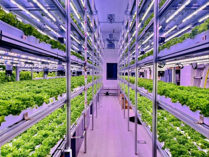 해피팜프로젝트