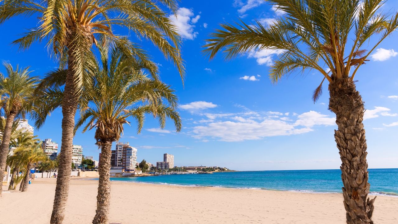 Sunny beach with palm trees, blue ocean, and distant city buildings.