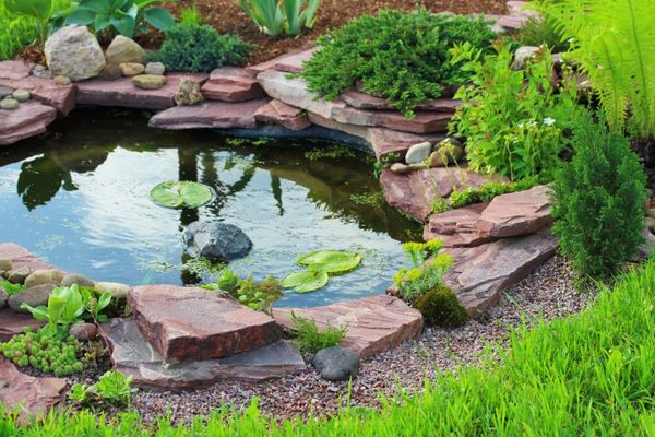 A small garden pond with rock borders, lush green plants, and lily pads.